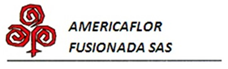 AMERICAFLOR FUSIONADA SAS