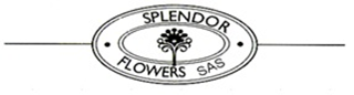 SPLENDOR FLOWERS SAS